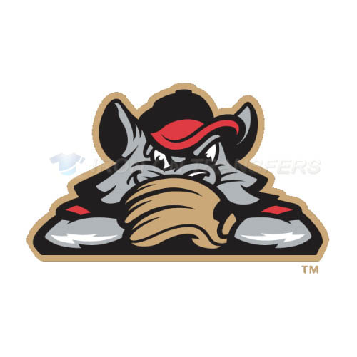 New Britain Rock Cats Iron-on Stickers (Heat Transfers)NO.7847